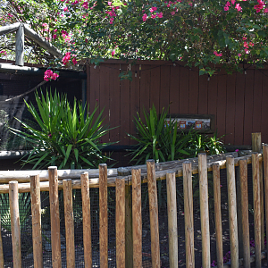 Jul. 2025 - Tortoise & Snake Exhibits