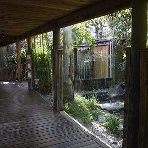 Jul. 2025 - Dwarf Caiman/Giant River Turtle/Yellow-spotted River Turtle Exhibit