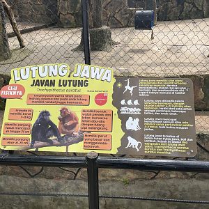 javan langur signage (2)