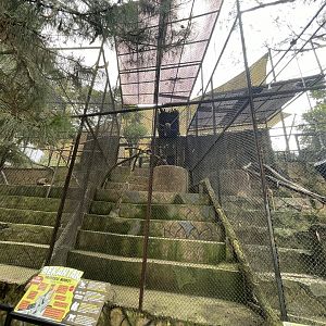 proboscis monkey exhibit (2)