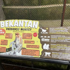 proboscis monkey signage (1)