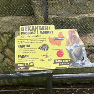 proboscis monkey signage (2)