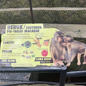 southern pig-tailed macaque signage (1)