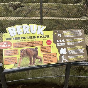 southern pig-tailed macaque signage (2)