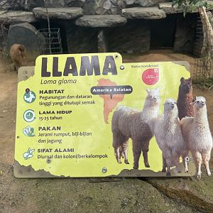 llama signage (1)