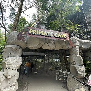 primate cave (view from enter)