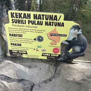 pimate cave - natuna island surili signage