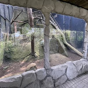 primate cave - empty exhibit