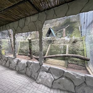 primate cave - red-tailed monkey exhibit