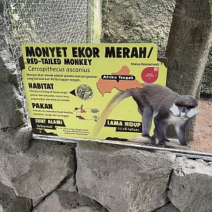 pimate cave - red-tailed monkey signage