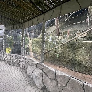 pimate cave - de brazza’s monkey exhibit