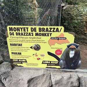 primate cave - de brazza’s monkey signage