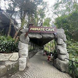 primate cave (view from exit)
