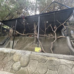 prevost’s squirrel exhibit