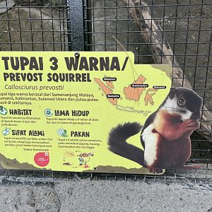 prevost’s squirrel signage