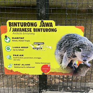 javan binturong signage