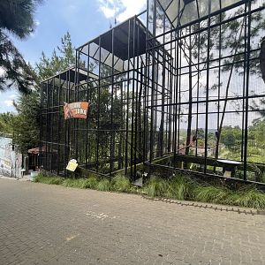 birds-of prey complex