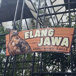 javan-hawk eagle signage (1)