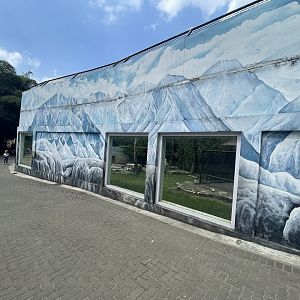 white lion exhibit (1)