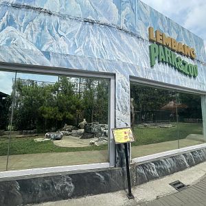 white lion exhibit (2)