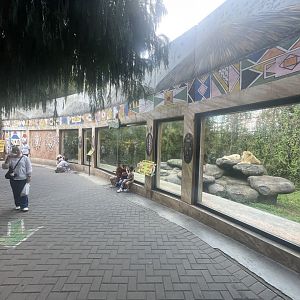 white lion exhibit (3)