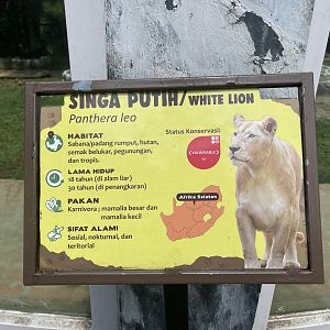 white lion signage (1)