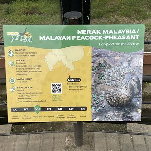 malayan peacock-pheasant signage (mislabeled/inaccurate)