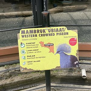 western crowned pigeon signage