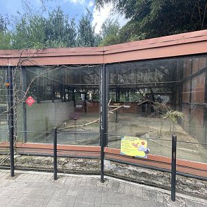 silver pheasant exhibit