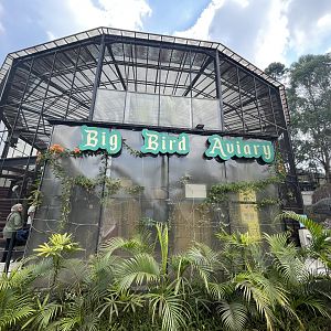 big bird aviary