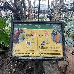 big bird aviary - scarlet & blue-and-gold macaw signage