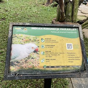 big bird aviary - ringneck parakeet signage