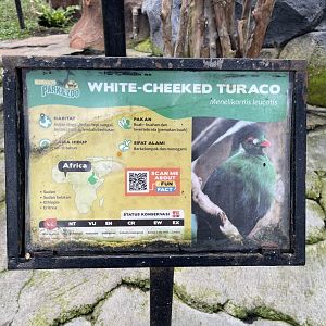 big bird aviary - white-cheeked turaco signage