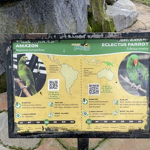 big bird aviary - yellow-naped amazon (mislabeled/inaccurate) & electus parrot signage