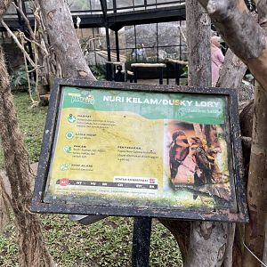 big bird aviary - dusky lory signage