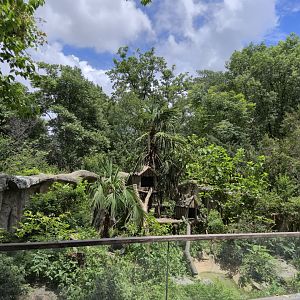 Himalayan Masked Palm Civet exhibit