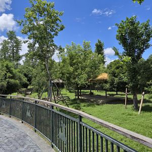 Chinese Water Deer exhibit