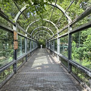 South Chinese Tiger Bridge between the two exhibits
