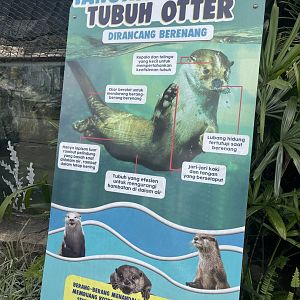 otter info signage