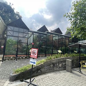 small monkey complex