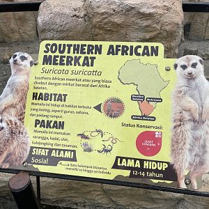 meerkat signage (1)