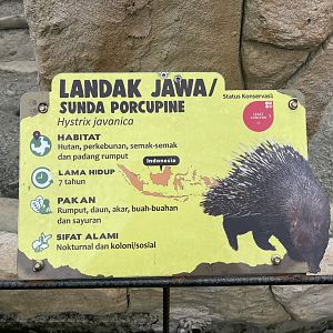 sunda porcupine signage