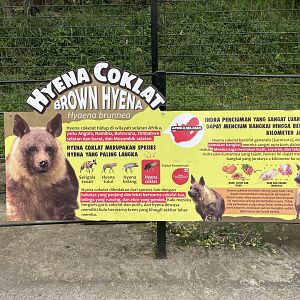brown hyena signage (1)