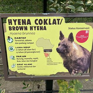 brown hyena signage (2)