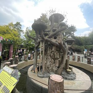sumatran binturong exhibit
