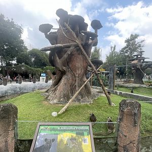 grizzled tree-kangaroo exhibit