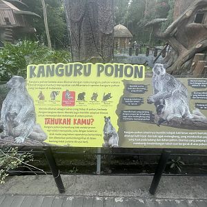 tree kangaroo info signage