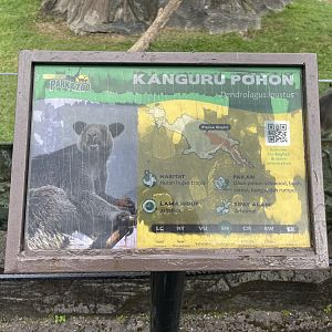 grizzled tree-kangaroo signage