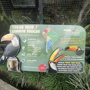 toco toucan signage
