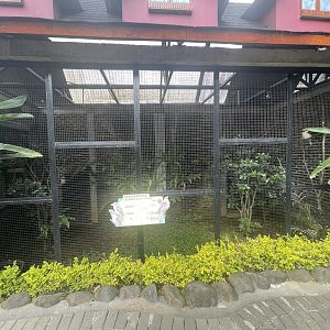 laughing kookaburra exhibit